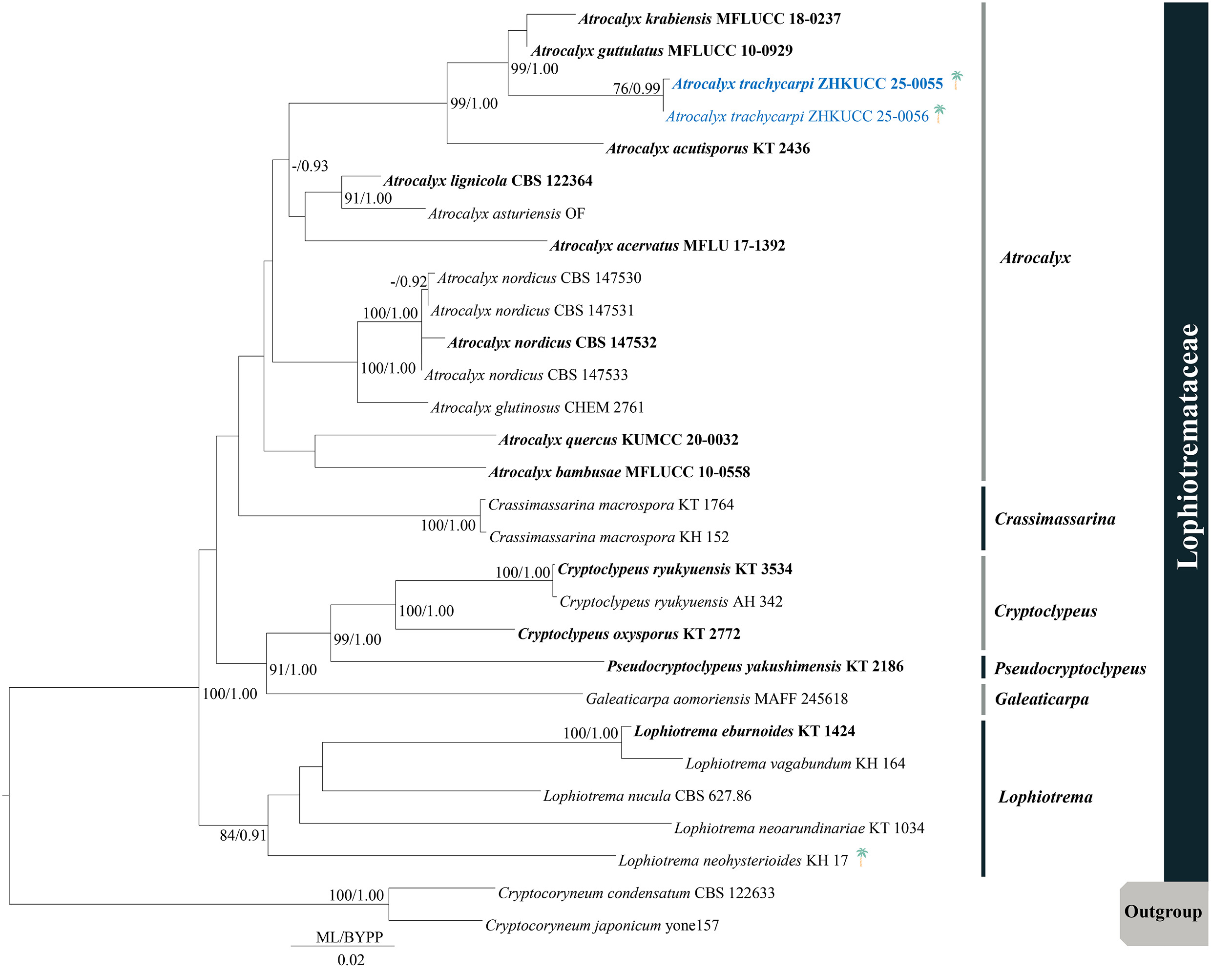 Figure 29